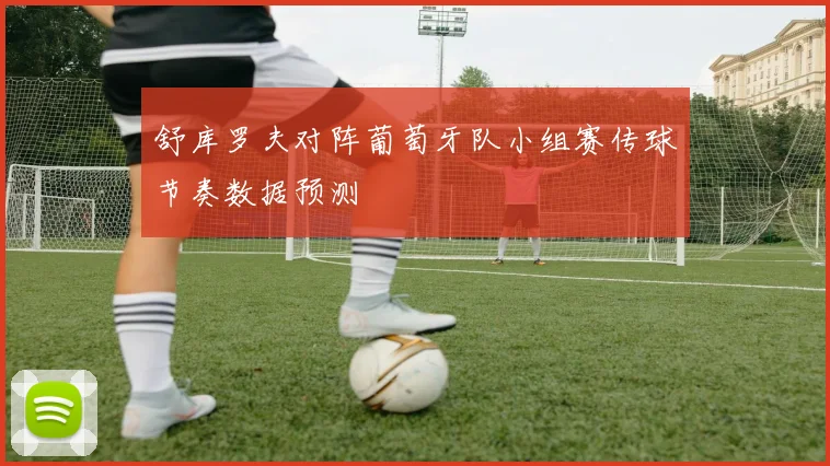 舒库罗夫对阵葡萄牙队小组赛传球节奏数据预测