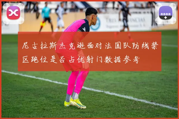 尼古拉斯杰克逊面对法国队防线禁区跑位是否占优射门数据参考