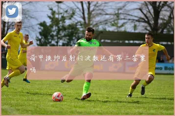 荷甲换帅后射门次数还有第二答案吗