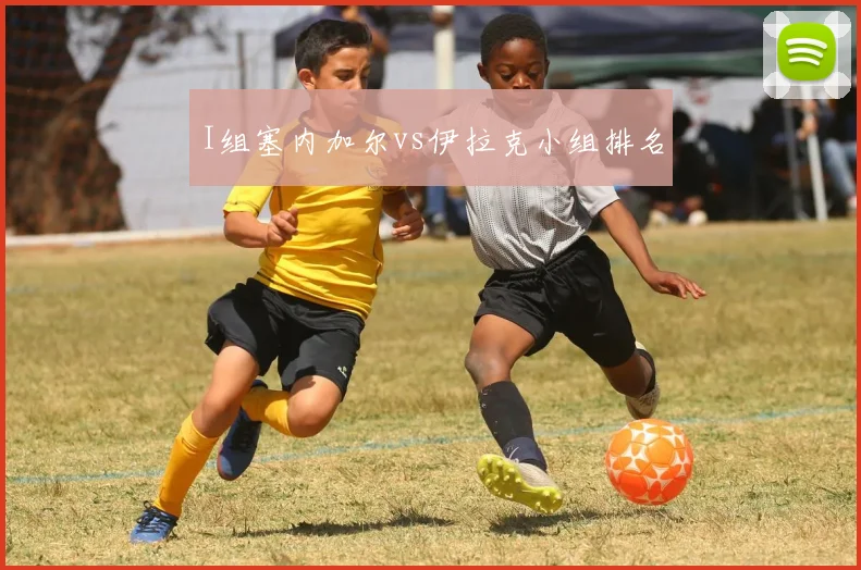 I组塞内加尔vs伊拉克小组排名