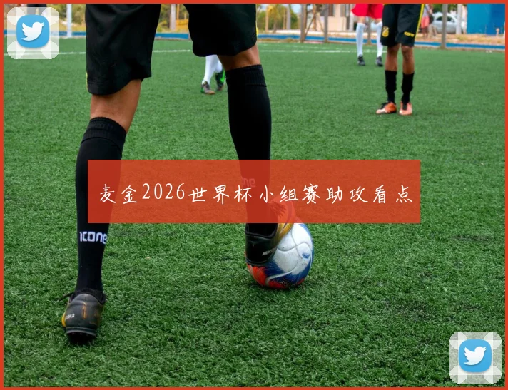 麦金2026世界杯小组赛助攻看点