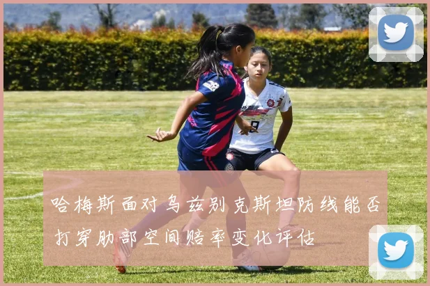 哈梅斯面对乌兹别克斯坦防线能否打穿肋部空间赔率变化评估